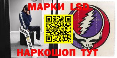 стафф Новозыбков