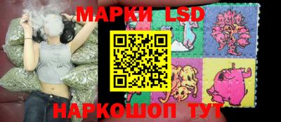 стафф Новозыбков