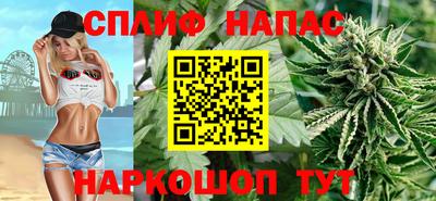 МДПВ Новодвинск