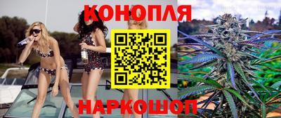 МДПВ Новодвинск