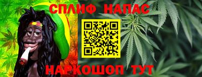 стафф Новозыбков