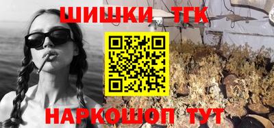 МДПВ Новодвинск