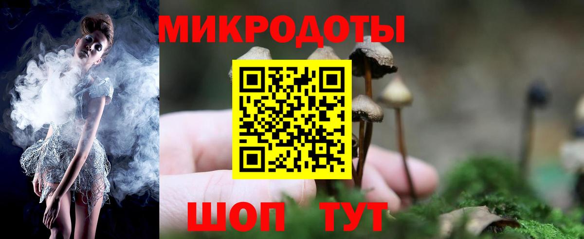 Рыбинск  Псилоцибиновые грибы Psilocybe  Вход с VPN 